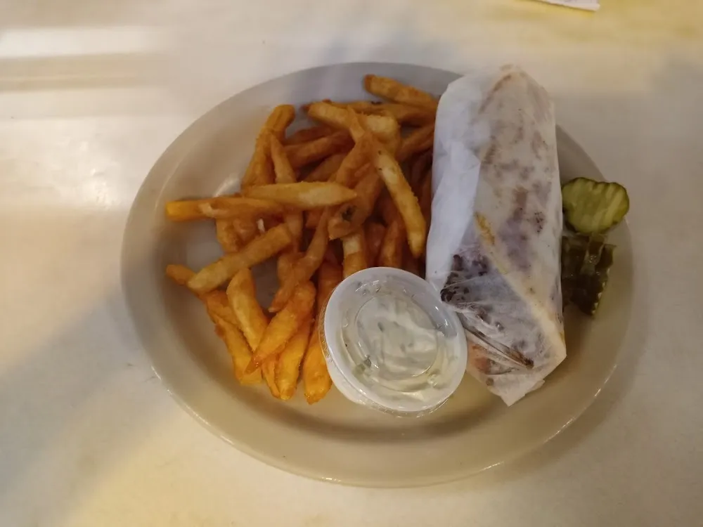 Gyro Sandwich and French Fries
